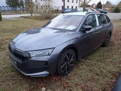 Grau Gebraucht 2025 Skoda Octavia SportLine Kombi | 40.990 €