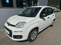 Weiß Gebraucht 2018 Fiat Panda Easy Kleinwagen | 7.490 € (Fairer Preis)