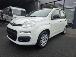 Gelato weiss Gebraucht 2021 Fiat Panda Kleinwagen | 10.980 € (Fairer Preis)