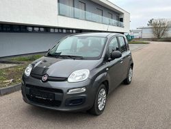 Grau Gebraucht 2017 Fiat Panda Limousine | 7.890 € (Fairer Preis)