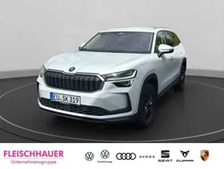 Weiss Gebraucht 2025 Skoda Kodiaq Selection SUV | 51.990 €