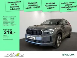Grau Gebraucht 2024 Skoda Kodiaq Selection SUV | 36.773 € (Guter Preis)