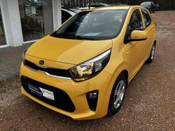 Honey bee Gebraucht 2020 Kia Picanto Edition 7 Kleinwagen | 11.490 € (Teuer)