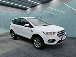 Weiß Gebraucht 2018 Ford Kuga Trend SUV | 16.180 € (Fairer Preis)