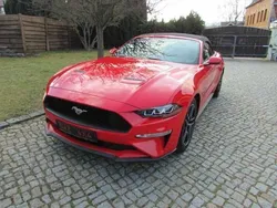 Rot Gebraucht 2019 Ford Mustang Cabrio | 27.990 € (Fairer Preis)