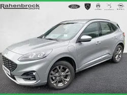 Solarmineralsilber Gebraucht 2024 Ford Kuga ST-Line SUV | 30.990 € (Guter Preis)