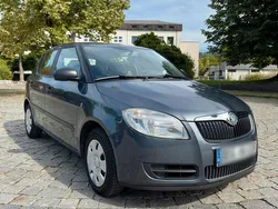 Grau Gebraucht 2009 Skoda Fabia Kleinwagen | 3.700 € (Teuer)