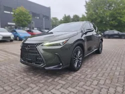 Terrane khaki Gebraucht 2022 Lexus NX450h+ Luxury Line SUV | 39.990 €