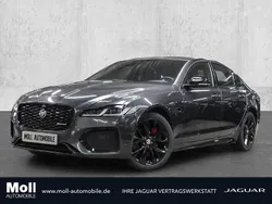 Carpathian grey (grau) Gebraucht 2023 Jaguar XF R-Dynamic Limousine | 34.695 € (Superpreis)