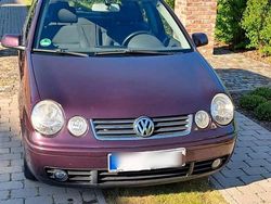 Violet Gebraucht 2003 VW Polo Kleinwagen | 1.499 € (Fairer Preis)