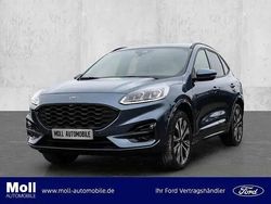 Blau Gebraucht 2024 Ford Kuga ST-Line X SUV | 38.980 € (Etwas zu teuer)