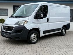 Weiß Gebraucht 2019 Fiat Ducato Van | 11.980 € (Superpreis)