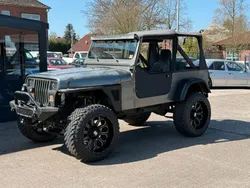 Grau Gebraucht 1993 Jeep Wrangler SUV | 13.999 €