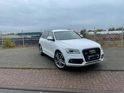 Weiß Gebraucht 2016 Audi SQ5 Competition SUV | 27.299 € (Etwas zu teuer)