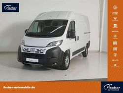 Ducato weiss Neu 2025 Fiat Ducato Van | 29.980 € (Fairer Preis)