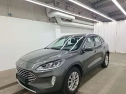 Magneticgrau (metallic) Gebraucht 2020 Ford Kuga Titanium SUV | 19.900 € (Superpreis)