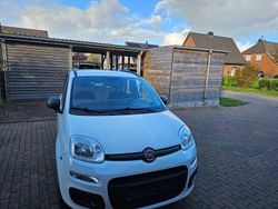 Gebraucht 2014 Fiat Panda Kleinwagen | 4.400 € (Fairer Preis)
