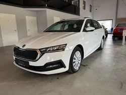 Bila candy/candyweiss Gebraucht 2022 Skoda Octavia Ambition Kombi | 19.690 € (Superpreis)