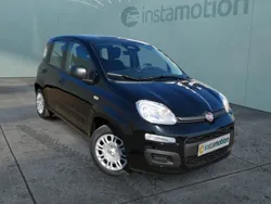 Schwarz Neu 2025 Fiat Panda Kleinwagen | 15.590 €