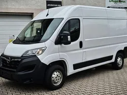 Casablancaweiss Gebraucht 2023 Opel Movano Van | 17.200 € (Guter Preis)