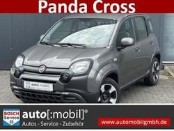 Grau Gebraucht 2023 Fiat Panda Cross Kleinwagen | 12.480 € (Guter Preis)