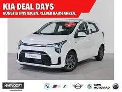 Weiß Neu 2025 Kia Picanto Vision Kleinwagen | 14.990 € (Fairer Preis)