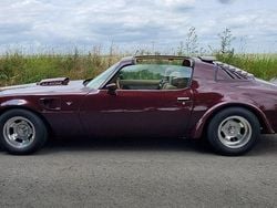 Andere farben Gebraucht 1979 Pontiac Trans Am Coupé | 25.000 €