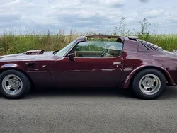 Andere farben Gebraucht 1979 Pontiac Trans Am Coupé | 26.500 €