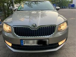 Grün Gebraucht 2013 Skoda Octavia Kleinwagen | 5.300 € (Teuer)