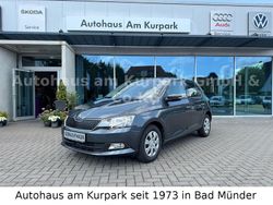 Grau Gebraucht 2018 Skoda Fabia Ambition Kleinwagen | 11.950 € (Fairer Preis)