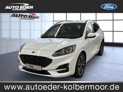 Frostweiß (weiß) Gebraucht 2024 Ford Kuga ST-Line X SUV | 30.490 € (Fairer Preis)