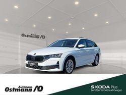 Moonweiß metallic Gebraucht 2024 Skoda Octavia Selection Kombi | 30.490 € (Fairer Preis)