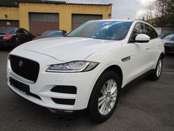 Weiß Gebraucht 2017 Jaguar F-Pace Pure SUV | 9.850 €