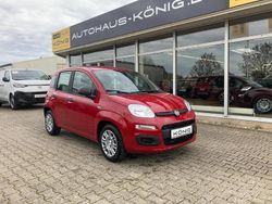 Rot Neu 2025 Fiat Grande Panda Kleinwagen | 12.698 € (Fairer Preis)