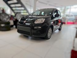 Schwarz Neu 2024 Fiat Panda Kleinwagen | 12.980 € (Guter Preis)