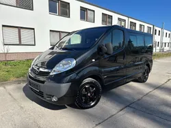 Schwarz Gebraucht 2007 Opel Vivaro Van | 6.990 € (Etwas zu teuer)