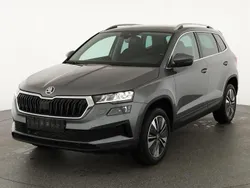 Graphite grau metallic Neu 2025 Skoda Karoq Selection SUV | 33.995 € (Superpreis)