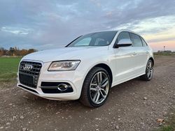 Weiß Gebraucht 2014 Audi SQ5 Ambiente SUV | 14.999 € (Fairer Preis)