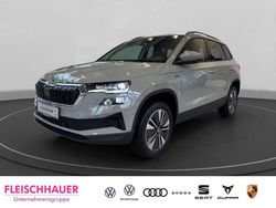 Stahlgrau Neu 2025 Skoda Karoq Tour SUV | 43.580 €