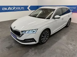 Weiß Gebraucht 2023 Skoda Octavia Style Kombi | 28.888 € (Etwas zu teuer)