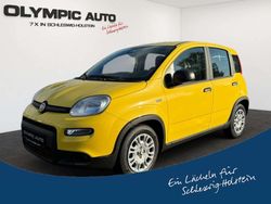 509 / tropicali gelb Gebraucht 2025 Fiat Panda Kleinwagen | 14.990 € (Etwas zu teuer)