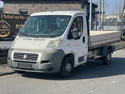Weiß Gebraucht 2012 Fiat Ducato Van | 6.950 € (Superpreis)