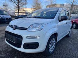 Weiß Gebraucht 2020 Fiat Panda Easy Limousine | 6.800 € (Fairer Preis)