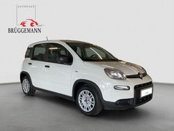 (weiss) Gebraucht 2023 Fiat Panda Kleinwagen | 10.990 € (Fairer Preis)