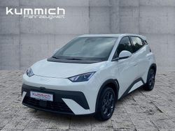 Weiß Neu 2025 BYD Dolphin Boost Kleinwagen | 24.890 € (Fairer Preis)