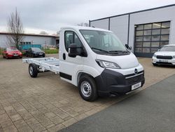 Lackierung weiss icy Neu 2025 Opel Movano Van | 28.190 €