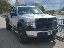 Grau Gebraucht 2010 Ford F-150 Abholung | 12.999 €