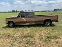 Braun Gebraucht 1988 Ford F350 | 17.500 €