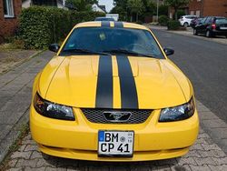 Gelb Gebraucht 2004 Ford Mustang Coupé | 7.500 €