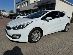 Weiß Gebraucht 2013 Kia ProCeed Kleinwagen | 6.750 € (Guter Preis)